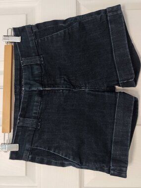 Fidelity denim shorts